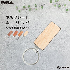 _X[p[SALEIP10{^ؐ L[z_[ L[O 4F | l[v[g l[^O D Vv    St      蕨 Mtg v[g DIY Ebh  y