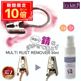 ＼P10倍＋10％OFFクーポン／【プロも驚く即効サビ落とし】サビ取り スプレー 強力 中性 錆び取り剤 さび取り剤 サビ落とし さび落とし DIY 自転車 車 工具 キッチン ステンレス ネジ 錆び 錆取り 家庭用 もらいサビ対応 錆除去 日本製 30ml 強力サビ取り 即効スプレー 防錆コ