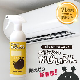 【楽天1位】エアコン 防カビ スプレー 500ml 日本製 無香料 エアコン カビ予防 防カビ剤 消臭 除菌 送風ファン エアコン掃除後 ケア クーラー 臭い対策 簡単 メンテナンス カビ臭防止 内部清潔 再発防止 時短対策 フィン ファン対応 掃除頻度削減 吹きかけるだけ
