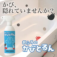 【風呂 カビ取りスプレー 強力】黒カビ 赤カビ 除去 泡密着 こすらない 放置OK 浴室 カビ取り剤 最強 ク…
