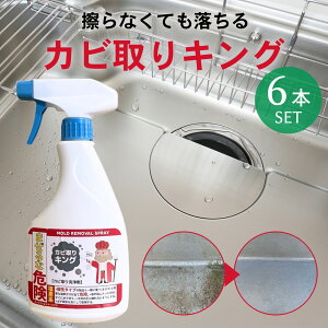 _P5{{10OFFN[|^vgƖpJrƂ JrLO 500ml Xv[ | Jr Jr |pi |pi |ObY N|ObY Ɩ p  pi ȒP ƒpi 