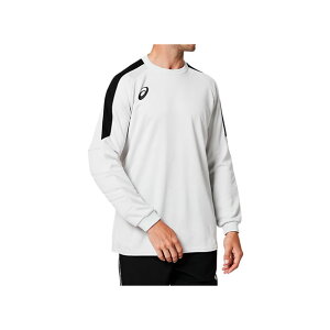 GKQ[Vc (\tgO[)yasicszAVbNX(2101A039)