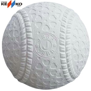 PR[{[ Jwp(o1)yKENKOzPR[Np VF19SSiKEN Jj