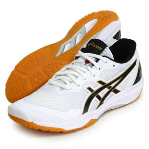 �A�V�b�N�X asics ROTE JAPAN LYTE FF 3 (���[�e�W���p�����C�g) �o���[�{�[���V���[�Y 23SS (1053A054-100)