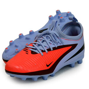 iCL NIKE iCL WjA t@g 6 LOW ACAD HG WjA TbJ[XpCN 25FA (HQ2046-400)