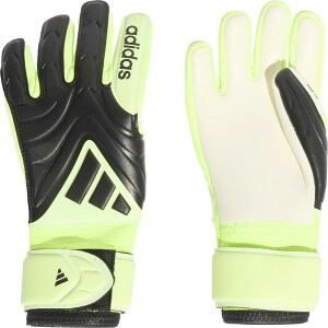 AfB_X adidas LbY Rp [O GKO[u WjA TbJ[ S[L[p[O[u  L[e Rp 25FW (KSZ24-JN5345)