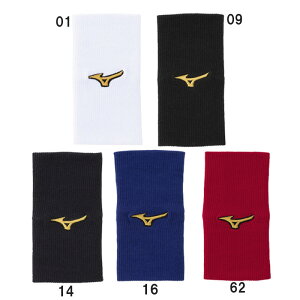 ~Ym MIZUNO ~Ymv Xgoh(Xg[g^Cv)(1) 싅 Xgoh K ی  25AW (12JYCY61)