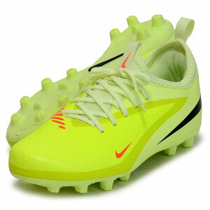 iCL NIKE iCL WjA t@g 6 LOW ACAD HG WjA TbJ[XpCN 25HO (HQ2046-800)