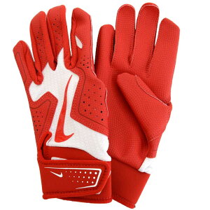 iCL NIKE At@ 2.0 obeBOO[u p ʗp 싅 obeBO  obe Ŏҗp 25AW (BA1201-143)