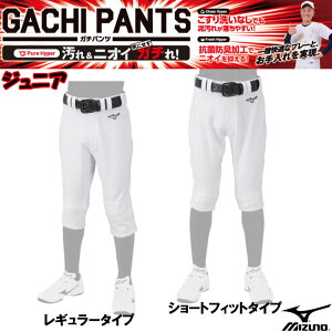 ~Ym MIZUNO GACHIjtH[pc(WjA) K JR 싅 jtH[ KpjtH[pc GACHI PANTS (12JD2F8001/8401)