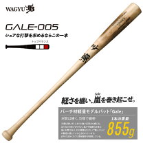 楽天市場】硬式木製バット 軽量の通販