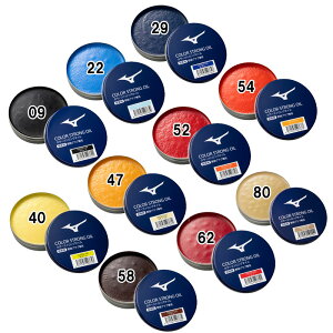 ~Ym MIZUNO J[XgOIC(ۊvF) 싅  Ou ANZT[ Ō` 23AW(1GJYG511)