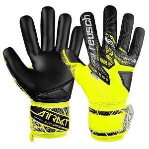 CV reuschAgNg CtBjeB NCTbJ[ S[L[p[O[u 25SS(5560725-2025)