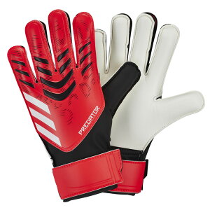 AfB_X adidasLbY PREDATOR g[jO GKO[uWjA TbJ[ S[L[p[O[u  vf^[25SS(KWA49-JH3811)