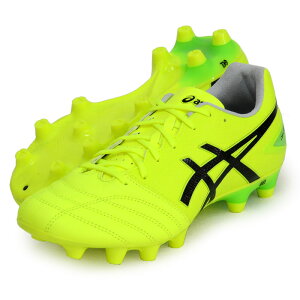 AVbNX asics DS LIGHT PRO WIDE (DSCg) TbJ[XpCN Ch 25SS(1103A110-750)