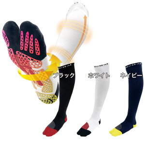 ANeBoC^ Activital Activital PROx[X{[ 싅 X|[c T|[^[ @\\bNX 25SS (HRD1086/7)