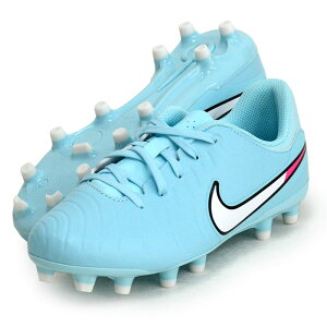 JR �e�B�G���| ���W�F���h 10 �A�J�f�~�[ FG/MG DV4348