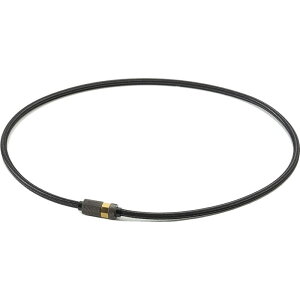 t@Ce(phiten)RWLlbN[bg BK/GD 50CM{fBPAObY (tg898153)