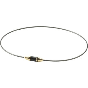 t@Ce(phiten)RlbNEX J[{ GD 45CM{fBPAObY(tg907252)
