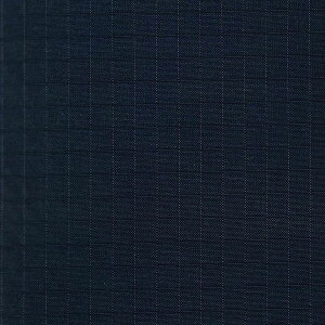 KENYON(Pj)yA[e[v bvXgbv lCr[AEghA Cp(ky11010nvy)