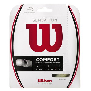 �y���b�g�̔��F���萔6�zWilson(�E�C���\��)SENSATION 17�e�j�X �d���K�b�g(wrz941100)