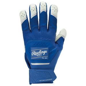 ���[�����O�X Rawlings2025 Workhorse �o�b�e�B���O�O���u�o�b�e�B���O�O���u 25SSWH25BG