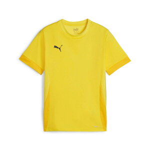 PUMA(v[})teamGOAL Q[Vc JrTbJ[EFAQ[Vc706361