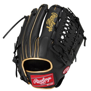 ���[�����O�X Rawlings� SELECT PROLITE N65 B��p�O���u �O���[�u 25AWGR5SPLN65