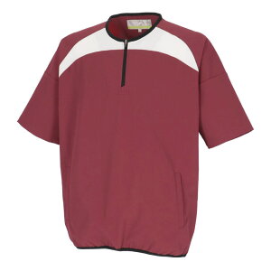 SSK(GXGXPC)n[tZIP NXg[jO싅EFAOhR[gBWC2501@25AW