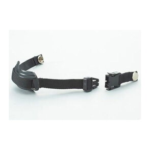 `XgbvySSKzGXGXPCveN^[pi(H5000CSP)