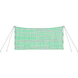 lbĝ݂̔̔łobNlbgySSKzGXGXPClbgEQ[W(SN019G)