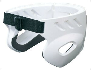 pwbhMAyZETTz[bg}XNEveN^[iBHL110Pj