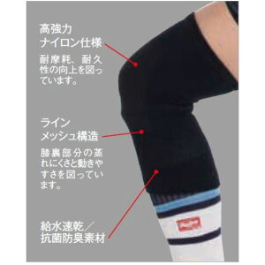 EBY \tg{[ j[T|[^[ yRawlingsz[OX ApANZT[ (AAS10F02)