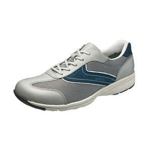 ATqV[Y AsahifBJEH[NMS-C O[(KV77205)