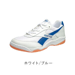 ���i�摜