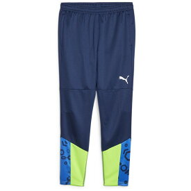 PUMA(プーマ)INDIVIDUALCUP TR パンツサッカーウェアトレーニングパンツ658872