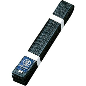 qсyKUSAKURAzEFA(JE2B)