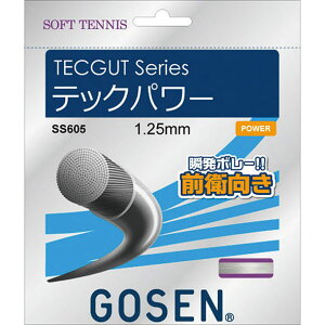 TECGUT ebNp[yGOSENzS[Z\tgejXXgOX(SS605)