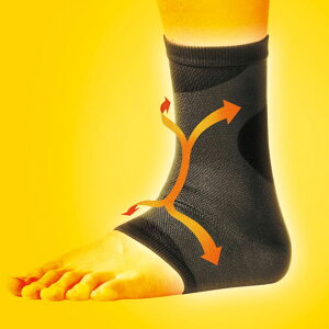 AXfBT|[^[ Ƃ߂X[u^Cv yDMzfB[AhGT|[^[(108380)