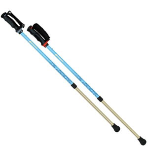 SINANO(Vim)񂵂2{EH[LO |[ ̑|[(650190)