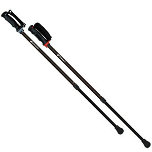 SINANO(Vim)񂵂2{EH[LO |[ ̑|[(650193)