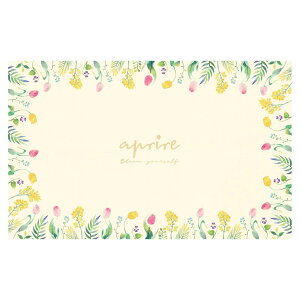 CAPTAIN STAG(LveX^bO)Av[ \tgNbVW[V[g140×90cmiOEjgbLO Lvpi e[u `FA(UT1016)