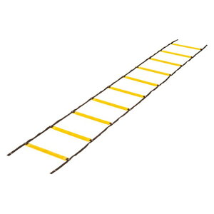 \tg_[g[jO[vyEvernewzGoj[ObY(ega480)