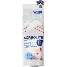 ソルボライト 2L【SORBO】ソルボボディケアフットケア スキンケア(61464)