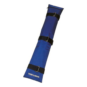 ThEGCg ST10yTOEI LIGHTzg[GCCgwZ@ (B2865)