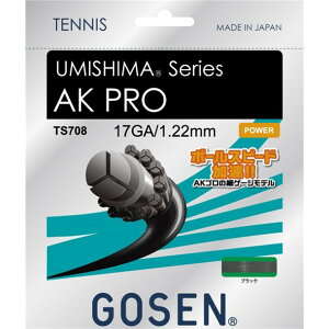 �E�~�V�}AK�v�� 17 �u���b�N�yGOSEN�z�S�[�Z���e�j�X�d�� �K�c�g(ts708bk)