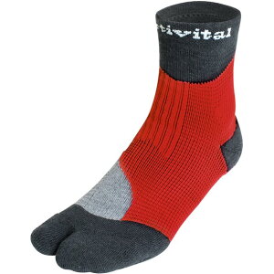 �t�b�g�T�|�[�^�[ RGY S-M(225-255�yActivital�z�A�N�e�B�o�C�^���}���`���@�\�\�b�N�X(4419)