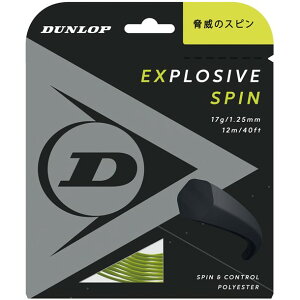 EXSPIN RL DST12001�ydunlop�z�_�����b�v�e�j�X�e�j�X�d�� �K�c�g(dst12001-300)