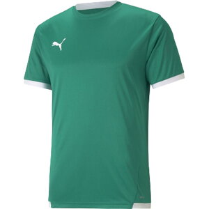 puma(v[})TEAMLIGA Q[VcTbJ[WUPjbgWPbg(705150-05j
