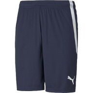 puma(プーマ)TEAMLIGA ゲームパンツサッカーWUPニットH・3/4P(705151-06）
